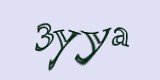 Защитный код