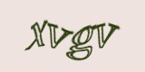 Защитный код